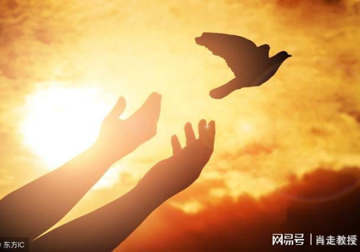 混水摸鱼的生肖，生存智慧还是道德困境？