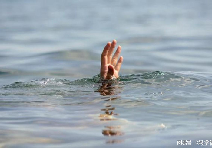 混水摸鱼的生肖,生存智慧还是道德困境? 混水摸鱼的生肖,生存智慧还是道德困境?