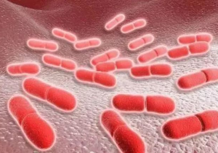 又有29人感染:也有42人被感染 又有29人感染:也有42人被感染