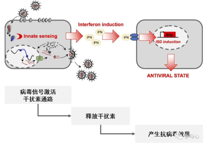 上海hiv抗原检测（上海hivrna检测点）