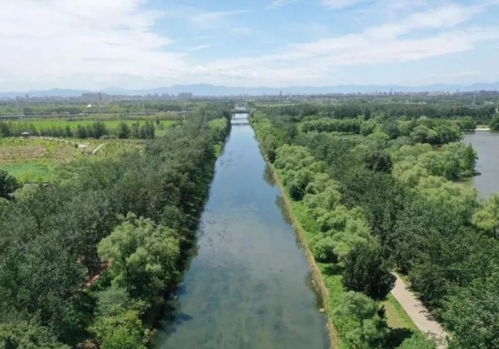 北京疫情，一条没有起点的河流，与一场全民记忆的诞生