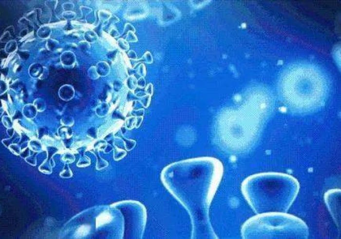 新冠病毒抗体在人体内能保留多长时间/新冠抗体在体内保持多久 新冠病毒抗体在人体内能保留多长时间/新冠抗体在体内保持多久