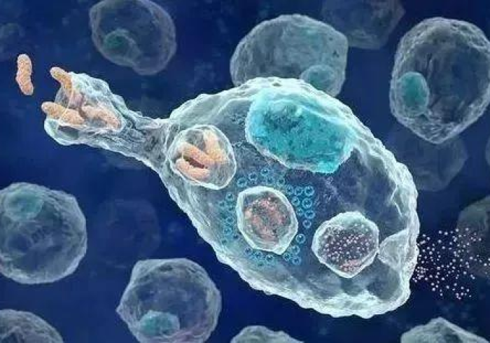 世卫新冠数据,全球抗疫的数字罗盘与未竟的追问 世卫新冠数据,全球抗疫的数字罗盘与未竟的追问