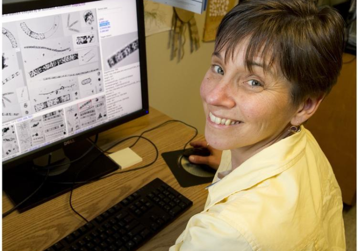 手机里的深海金矿，揭秘QQ游戏捕鱼大亨的指尖财富潮