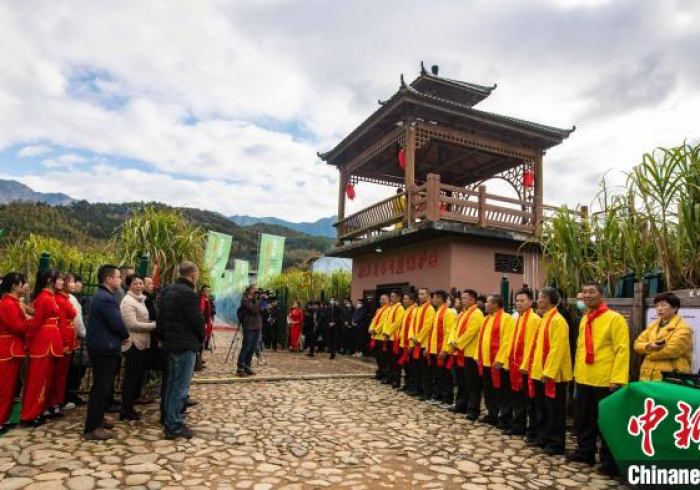 松溪战疫,闽北小城的坚韧防线与温情守望 松溪战疫,闽北小城的坚韧防线与温情守望