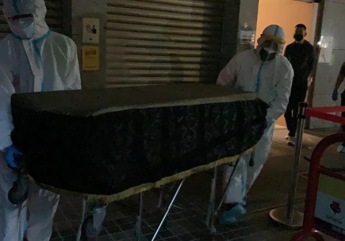 宠物回国隔离政策收紧,2021年的爱与分离 宠物回国隔离政策收紧,2021年的爱与分离