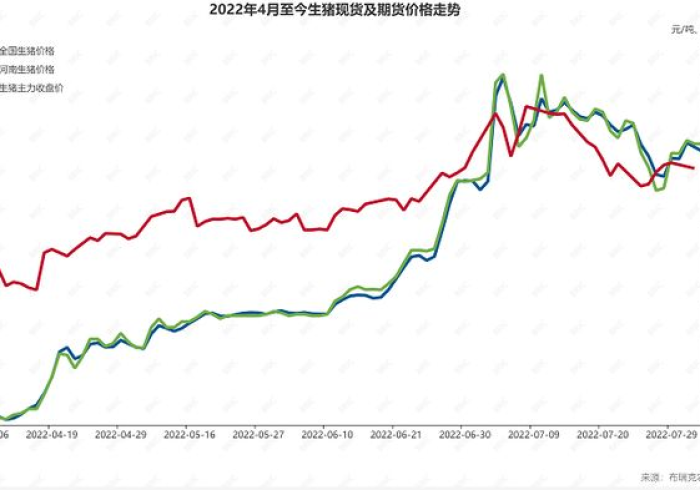 猪价涨跌牵动雷州,一条猪产业链上的生存博弈与希望 猪价涨跌牵动雷州,一条猪产业链上的生存博弈与希望