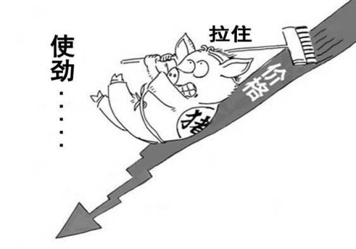 猪价涨跌牵动雷州,一条猪产业链上的生存博弈与希望 猪价涨跌牵动雷州,一条猪产业链上的生存博弈与希望