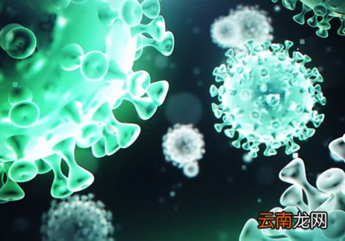 最新变异毒株:最新变异毒株症状 最新变异毒株:最新变异毒株症状