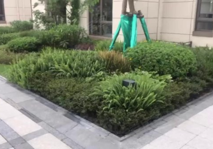 海淀环境阳性,当科技圣地的土壤,测出了时代的隐疾 海淀环境阳性,当科技圣地的土壤,测出了时代的隐疾