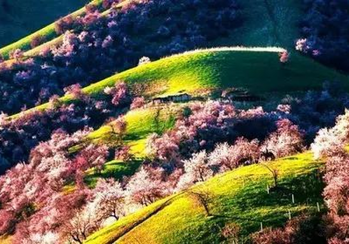 新疆18号疫情:新疆疫情最新公告8月17日 新疆18号疫情:新疆疫情最新公告8月17日