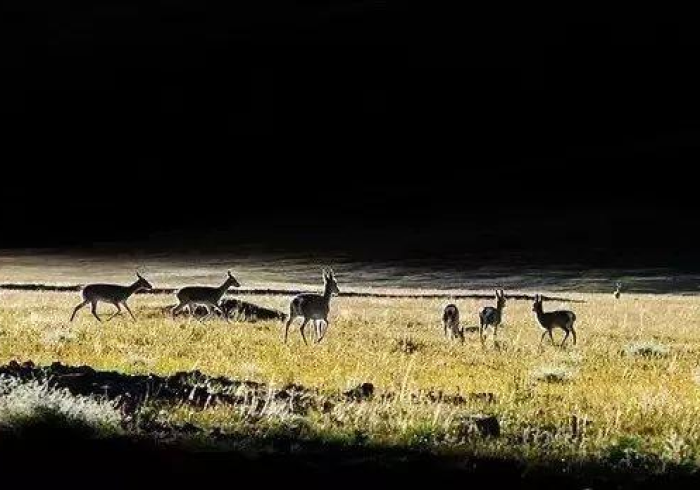 新疆18号疫情:新疆疫情最新公告8月17日 新疆18号疫情:新疆疫情最新公告8月17日