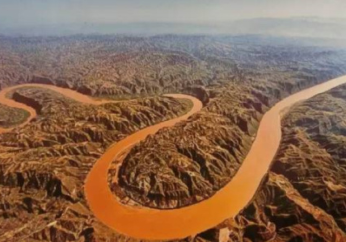 郑州女贝,黄河泥沙里淬炼的珍珠 郑州女贝,黄河泥沙里淬炼的珍珠