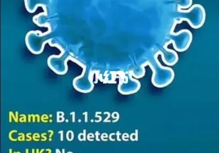 灭活疫苗对尼日利亚病毒株无效(尼日利亚变异病毒疫苗无效) 灭活疫苗对尼日利亚病毒株无效(尼日利亚变异病毒疫苗无效)