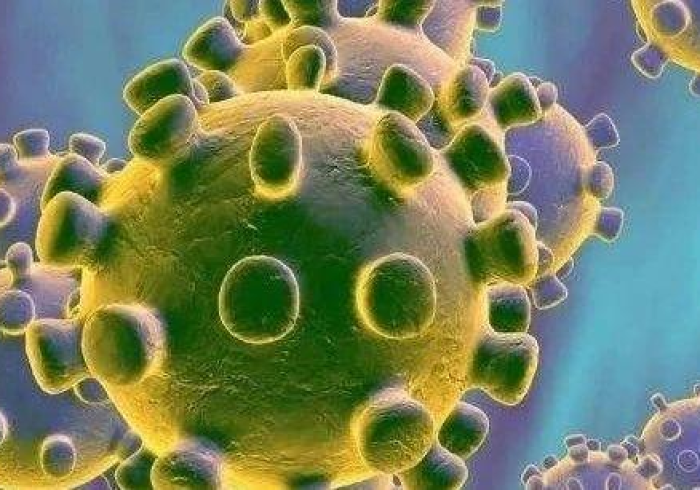 美国新增4776例新冠肺炎/美国新增新型冠状病毒肺炎