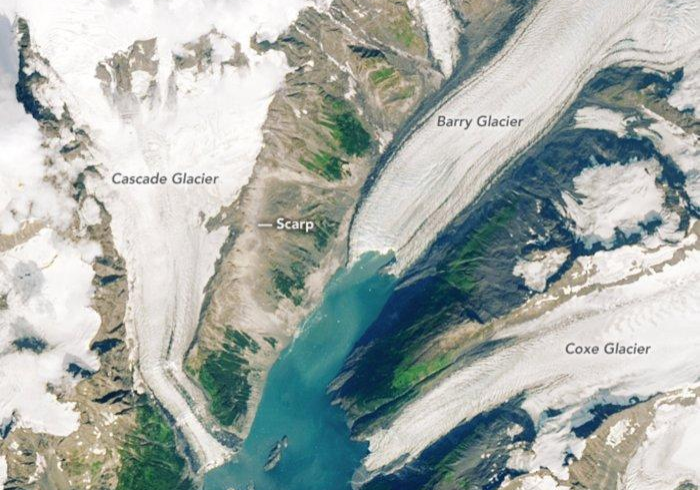 疫情海啸下的城市感染进度排名,一张难以承受的地图 疫情海啸下的城市感染进度排名,一张难以承受的地图